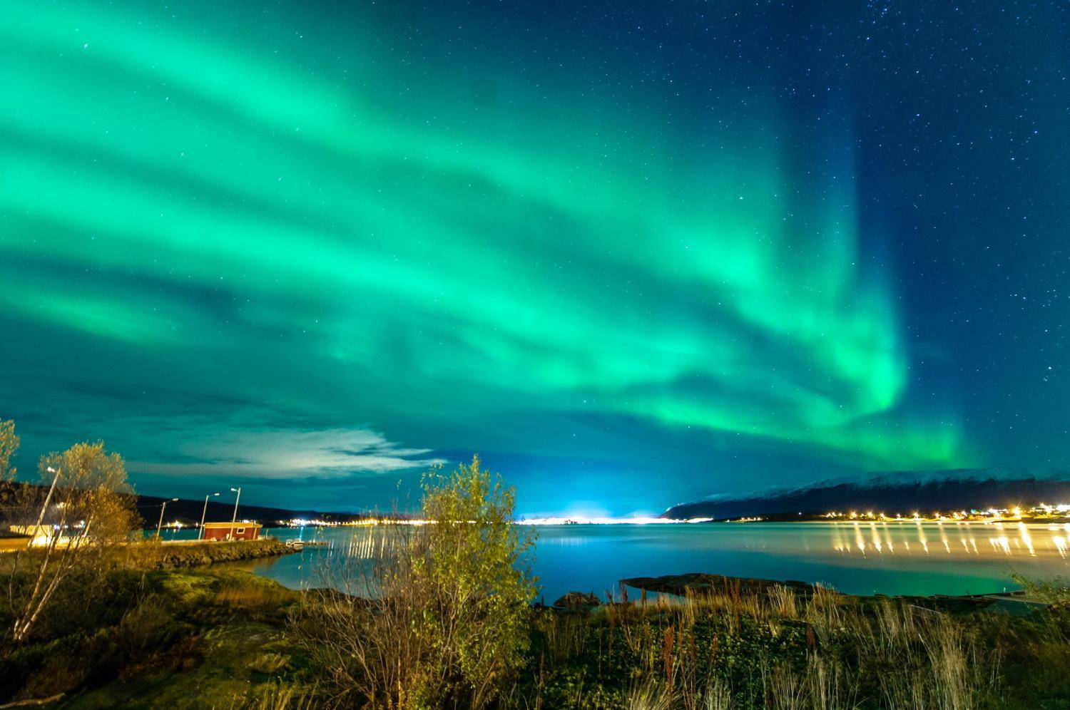 Leilighet Med Fantastisk Utsikt. Tromsø Dış mekan fotoğraf